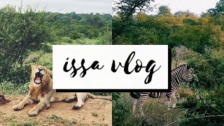 VLOG My 1st Media Trip  Makalali Private Game Reserve [upl. by Lebatsirc]