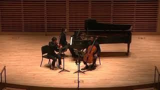 Smetana Piano Trio in G minor Op15 [upl. by Preciosa]