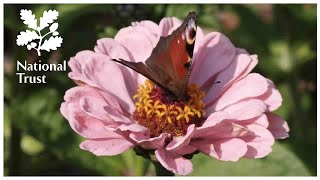 Explore a couple’s love of colour and design at Sissinghurst Castle Garden in Kent [upl. by Means]