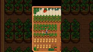 Stardew Valley Shed Idea [upl. by Etiragram683]