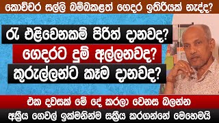 ගෙදරට කිරි ඉතිරෙන්න මේ දේ කරන්න  අක්‍රීය නිවාස සක්‍රීය කරගන්න හැටි  vastu tips  sinhala [upl. by Straub]