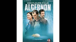 Des fleurs pour Algernon 7 [upl. by Haldis]