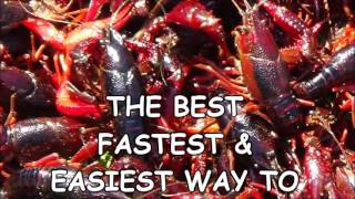 FASTEST WAY TO REMOVE TAIL MEAT FROM A CRAWDAD [upl. by Yarazed]