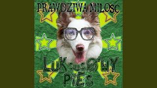 Zaufaj Mi Milosc [upl. by Awra52]