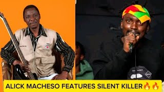 ALICK MACHESO FT SILENT KILLER 🔥🔥AQUATIC COMPLEX MASHUP 2024 [upl. by Stoecker209]