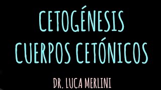 Cetogénesis Cuerpos Cetónicos [upl. by Carmen]