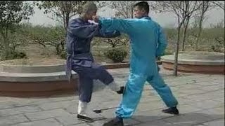 Shaolin Kung Fu 20 fight techniques [upl. by Eugen]