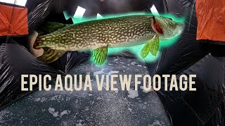 EPIC AQUA VIEW FOR BIG PIKE  crazy pike strikes [upl. by Fini980]