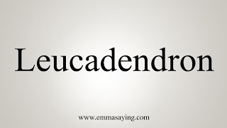 How To Say Leucadendron [upl. by Benge769]