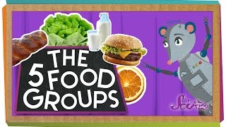 The 5 Fabulous Food Groups [upl. by Sidnee]