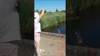 MAGNET FISHING UK 🧲 teaching my daughter how to magnet fish 💓 magnet magnetfishing history [upl. by Slade]