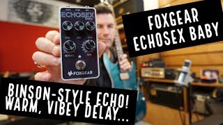 BINSON ECHOREC TONES FOR LOW  FOXGEAR ECHOSEX BABY [upl. by Madanhoj]