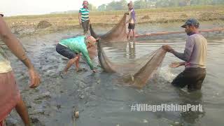 শীতের সকালে মাছ ধরার দৃশ্য  Winter morning fishing scene  Traditional Fishing [upl. by Mannuela]