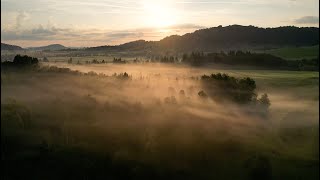 Sommer im Rothenthurmer Hochmoor [upl. by Bred]