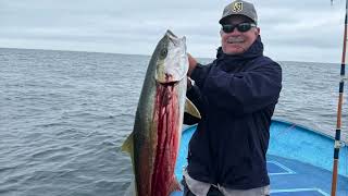 Cedros Island Fishing June 2024 [upl. by Filide]