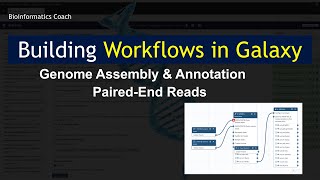 Galaxy Tutorials  Building a a Workflow for Genome Assembly and Annotation [upl. by Prevot]