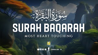 Surah Al Baqarah Full سورة البقره  Relaxing heart touching voice  Zikrullah TV [upl. by Eannej]