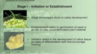 What is Micropropagation [upl. by Huoh]