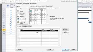 Project 2010  Calendario  Atribuindo Feriados [upl. by Oswal]