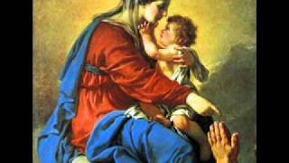 Salve Mater Misericordiae  Catholic Song of Praise to Mary [upl. by Tomchay941]