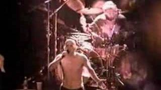 Tool Jimmy live  Pomona 1996 [upl. by Axe]