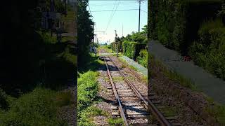 【Japan4K】countryside train track [upl. by Tessie]