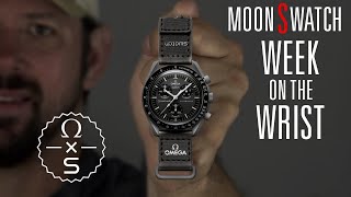 Omega MoonSwatch  Week on the Wrist [upl. by Goodhen]