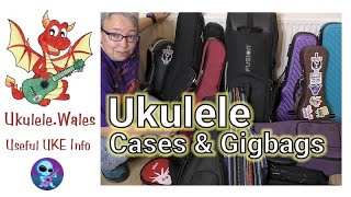 Ukulele Cases And Ukulele Gig Bag Guide [upl. by Delanie]