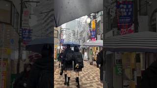 Snowfall in japan tokyo ❄️snowlover love popular snow rain shorts umbrella [upl. by Madora413]