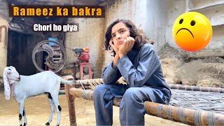 Rameez ke Qurbani ka bakra Gayab  Naeem aw Rameez [upl. by Svetlana948]