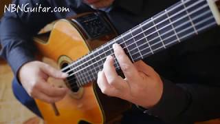 La Paloma The Dove  Sebastian Yradier  Acoustic Guitar  Classical Guitar  NBN Guitar [upl. by Stormy]