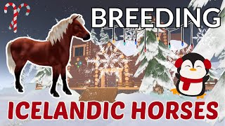 BREEDING THE NEW ICELANDIC HORSES  Wild Horse Islands [upl. by Repsac]