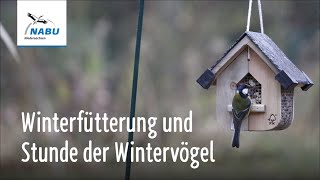 Erdnussfutterhaus und Stunde der Wintervögel  Schaufutterstelle NABU Gut Sunder [upl. by Airdnassac]