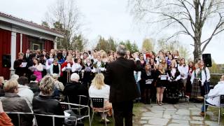 Siste skoledag på Elverum folkehøgskole 20112012  Kringsatt av fiender [upl. by Chuch]