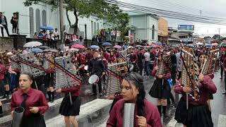 Banda Liceo Jose Joaquin Vargas Calvo 2017 [upl. by Ahsitil]