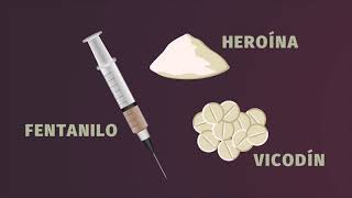 ¿El Vicodin la heroína y el fentanilo son opioides [upl. by Seni]