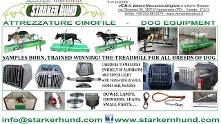 Dog Equipment Starker Hund [upl. by Anait]