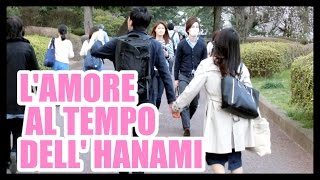 LAMORE AL TEMPO DELL HANAMI [upl. by Niuqram]