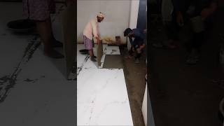 floor tile fittings 2×4shortsfeed shorts [upl. by Ainesell941]