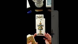 You Need To Hear This Message  Timeless Tarot Card Reading tarot lovereading short [upl. by Ketchum464]