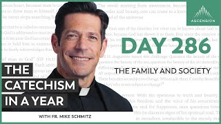 Day 286 The Family and Society — The Catechism in a Year with Fr Mike Schmitz [upl. by Zanlog127]