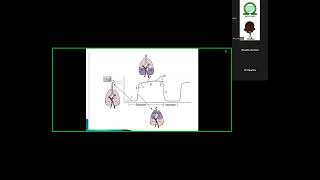 NSA Residents tutorial Capnography [upl. by Nothsa]