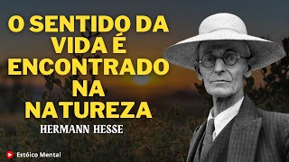 O sentido da vida é encontrado na natureza  Hermann Hesse [upl. by Ahsilav]