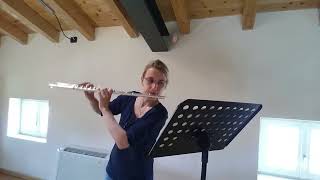 Anton Stamitz  8 Caprices for solo flute 5 Amoroso [upl. by Neelsaj279]