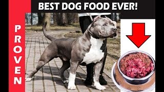 Best Dog Food Ever To Feed your Puppy CREATE BIG DOGS [upl. by Adneram298]