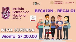 BECA IPNBÉCALOS 2022  Convocatoria  Requisitos Documentación REGISTRO  Becas México [upl. by Oigres]