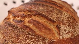 How to Mix Sourdough  Make Bread [upl. by Nosae]