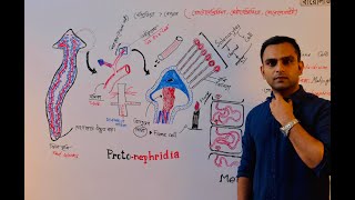 Endoplasmic reticulum amp Lysosome এন্ডোপ্লাজমিক জালিকা ও লাইসোসোম  Dr Razib Hossain Sarkar [upl. by Enorahs]