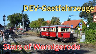 Die Gastfahrzeuge des DEV  125 Jahre Harzquer und Brockenbahn  German Railways  Train Video 4K [upl. by Ydal]