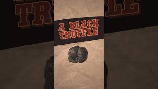 Why Real Truffles Are So Expensive [upl. by Anisamot]